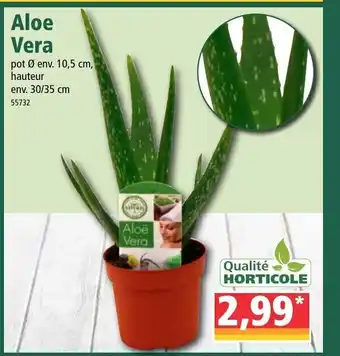 Norma Aloe Vera offre