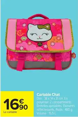 Carrefour Cartable Chat offre