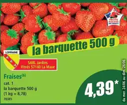 Norma Sarl jardins fraises offre