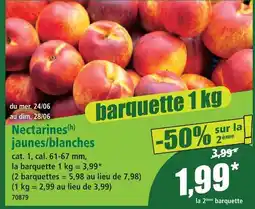 Norma Nectarines jaunes/blanches offre