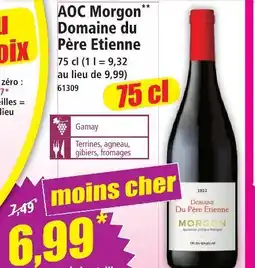 Norma Domaine du père etienne aoc morgon offre