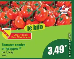 Norma Tomates rondes en grappes offre