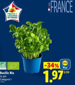 Lidl Basilic Bio offre