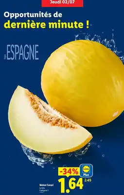 Lidl Melon Canari offre