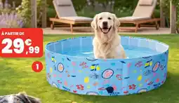 Animalis Piscine bleue motifs dolce vita offre