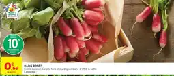Intermarché Radis rose offre