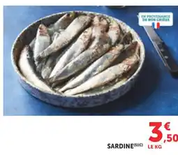 Maximarché Sardine offre