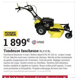Espace emeraude Tondeuse faucheuse RL210 RL offre