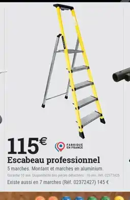 Espace emeraude Escabeau professionnel offre