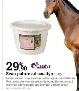 Espace emeraude Seau pature ail 29,90 Casalys offre