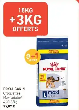 Tom&Co Royal canin croquettes offre