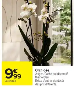 Carrefour Orchidée offre