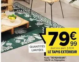 Centrakor LE TAPIS EXTÉRIEUR offre