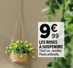 Centrakor LES ROSES À SUSPENDRE offre