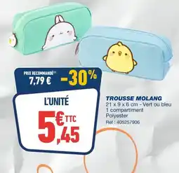 Bureau Vallée TROUSSE MOLANG offre
