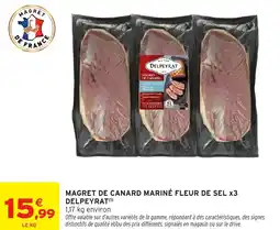 Intermarché Hyper DELPEYRAT Magret de canard mariné fleur de sel x3 offre