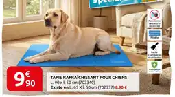 Rural Master Tapis rafraîchissant pour chiens offre