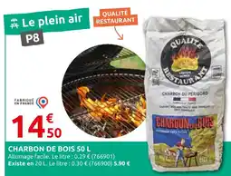 Rural Master Qualité restaurant charbon de bois 50 l offre