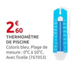 Rural Master Thermomètre de piscine offre