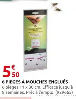 Rural Master 6 pièges à mouches englués offre