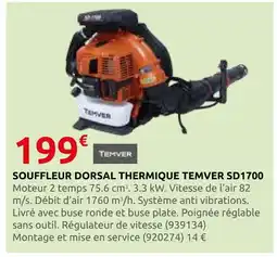 Rural Master Temver souffleur dorsal thermique sd1700 offre