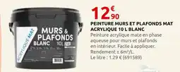 Rural Master Peinture murs et plafonds mat acrylique 10 l blanc offre