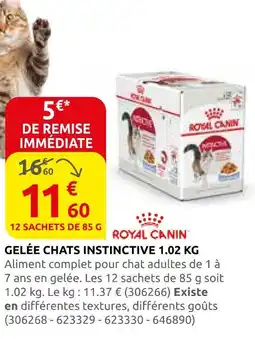 Rural Master Royal canin gelée chats instinctive 1.02 kg offre