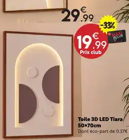 Maxi Bazar Toile 3d led tiara offre