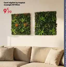 Maxi Bazar Carré végétal izy tropical ou jungle offre