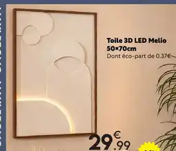 Maxi Bazar Toile 3d led melio offre
