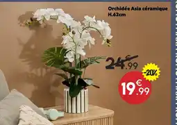 Maxi Bazar Orchidée asia céramique offre