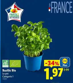 Lidl Lidl basilic bio offre