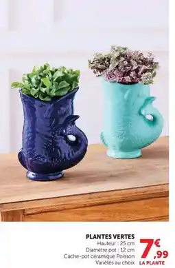 Hyper U Plantes vertes offre