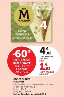 Bi1 Cones glaces magnum offre