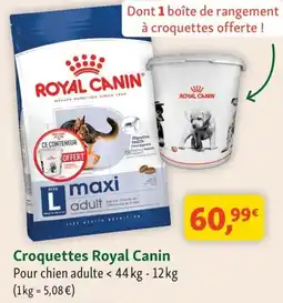 Maxi Zoo Croquettes royal canin offre
