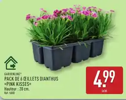 ALDI GARDENLINE Pack de 6 œillets dianthus pink kisses offre