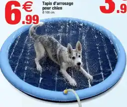 Bazarland Tapis d'arrosage pour chien offre