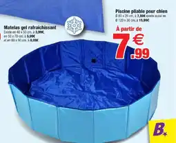 Bazarland Piscine pliable pour chien offre