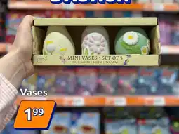 Action Mini vases offre
