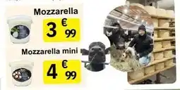 E.Leclerc Mozzarella mini offre