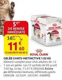 Rural Master Royal canin - gelée chats instinctive offre