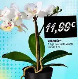 E.Leclerc Orchidée offre