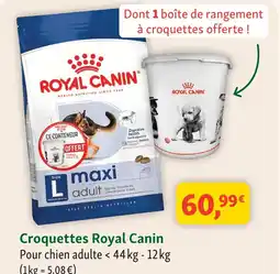Maxi Zoo Royal canin croquettes offre