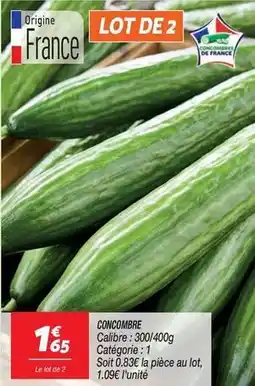 Netto Concombre offre