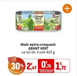 Coccinelle Supermarché Maïs extra-croquant géant vert offre