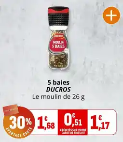 Coccinelle Supermarché 5 baies ducros offre