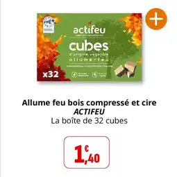 Coccinelle Supermarché Allume feu bois compressé et cire actifeu offre