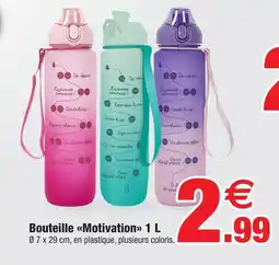 Bazarland Bouteille motivation 1 l offre