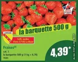 Norma Cat - fraises offre