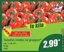 Norma Cat - tomates rondes en grappes offre